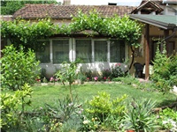 5cda7251-Picture 742.jpg